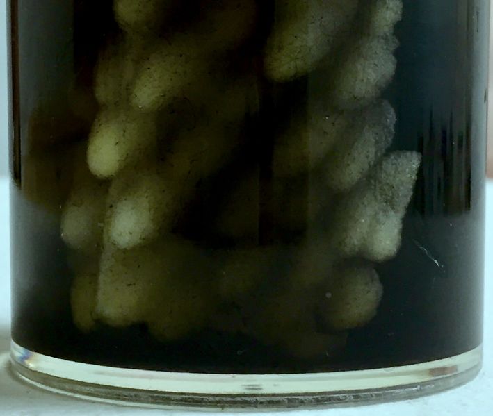 File:Material Journeys Through Other Realities 4.jpg